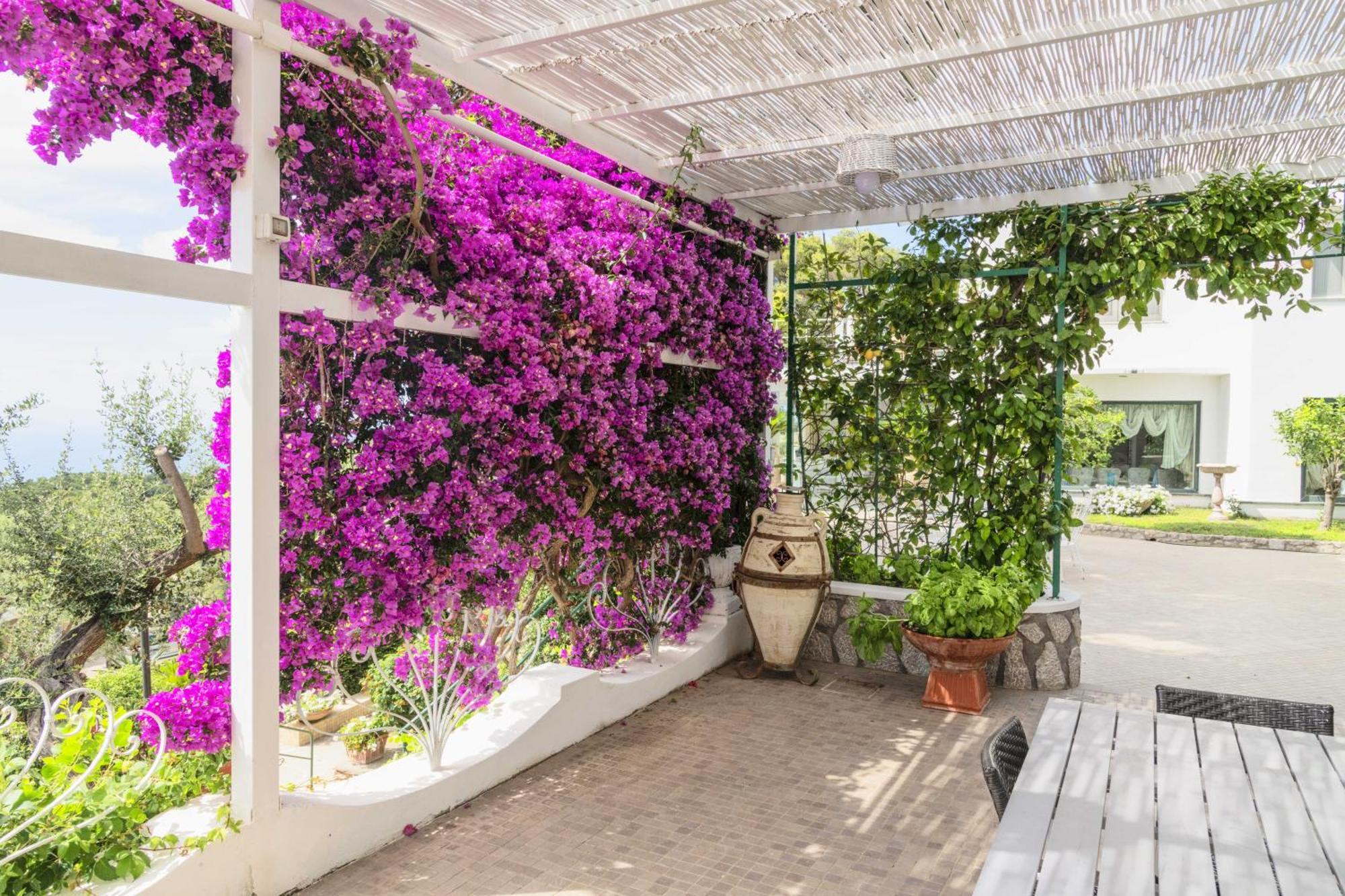 La Canostra Capri - Luxury Room Ad Anacapri Exteriér fotografie